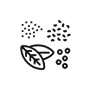 14 Hand-Selected Botanicals