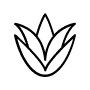 100% BLUE AGAVE