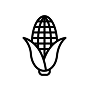 100% CORN